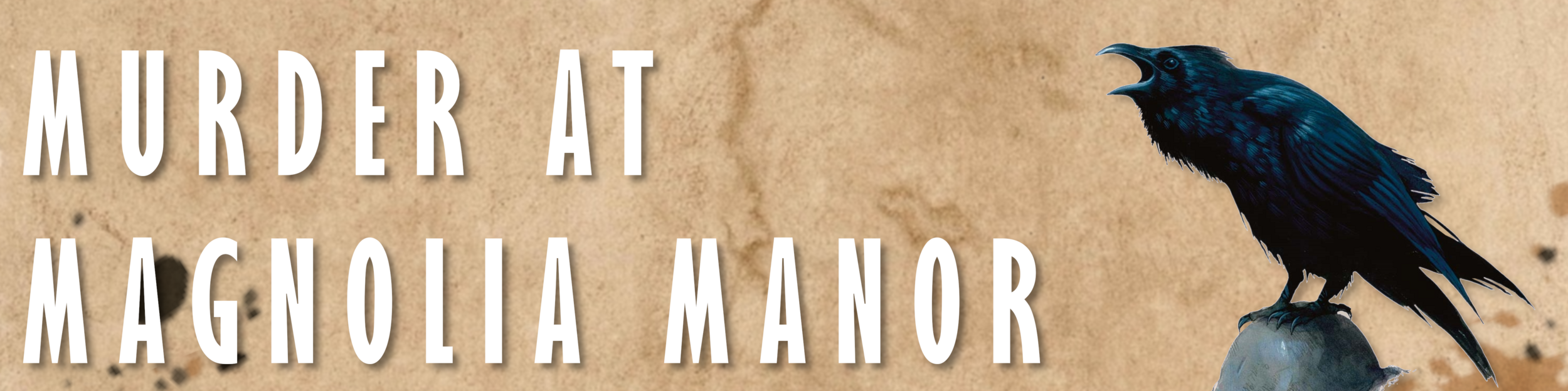 Murder at Magnolia Manor